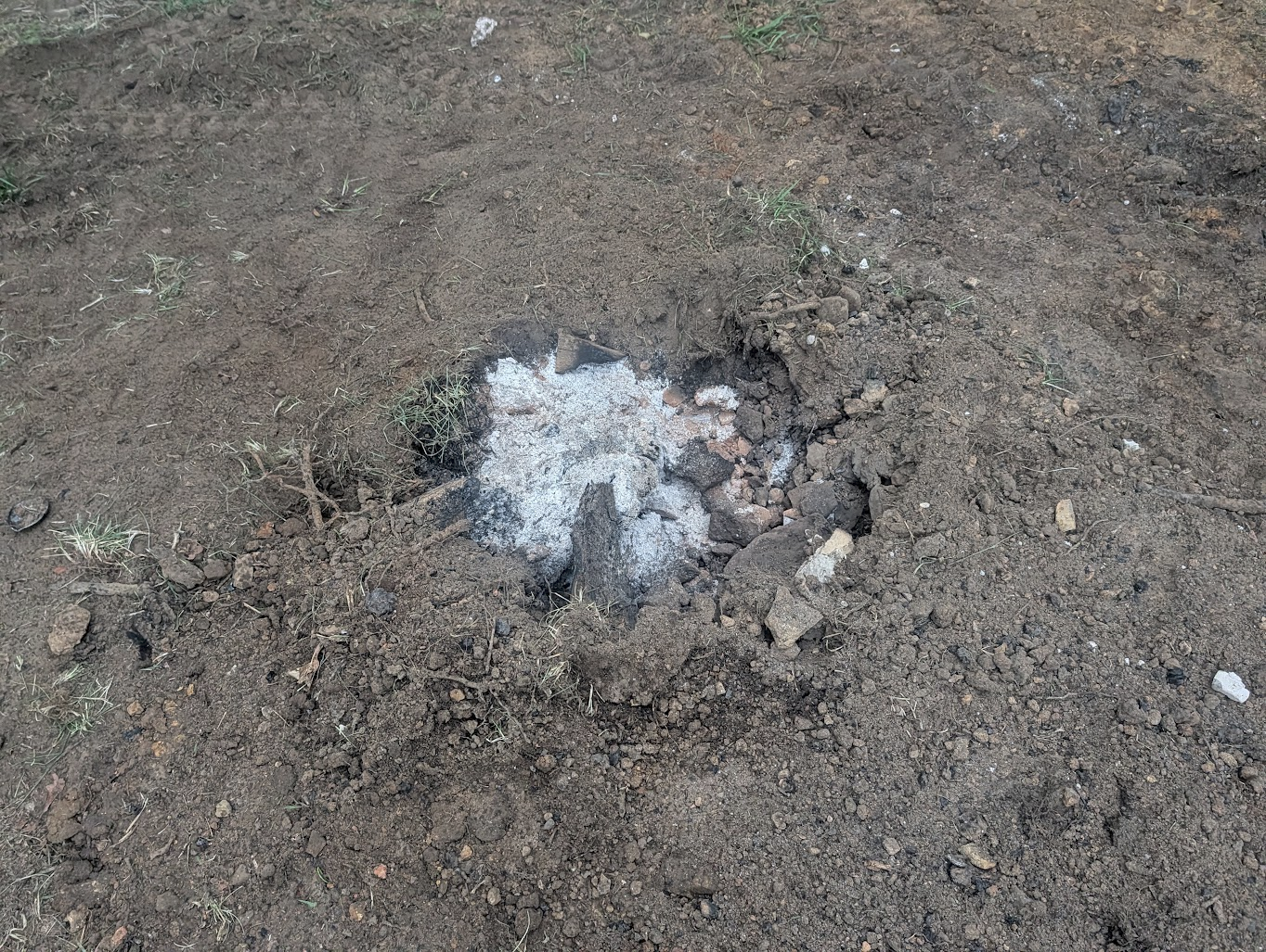 Bare ground where the stump used to be