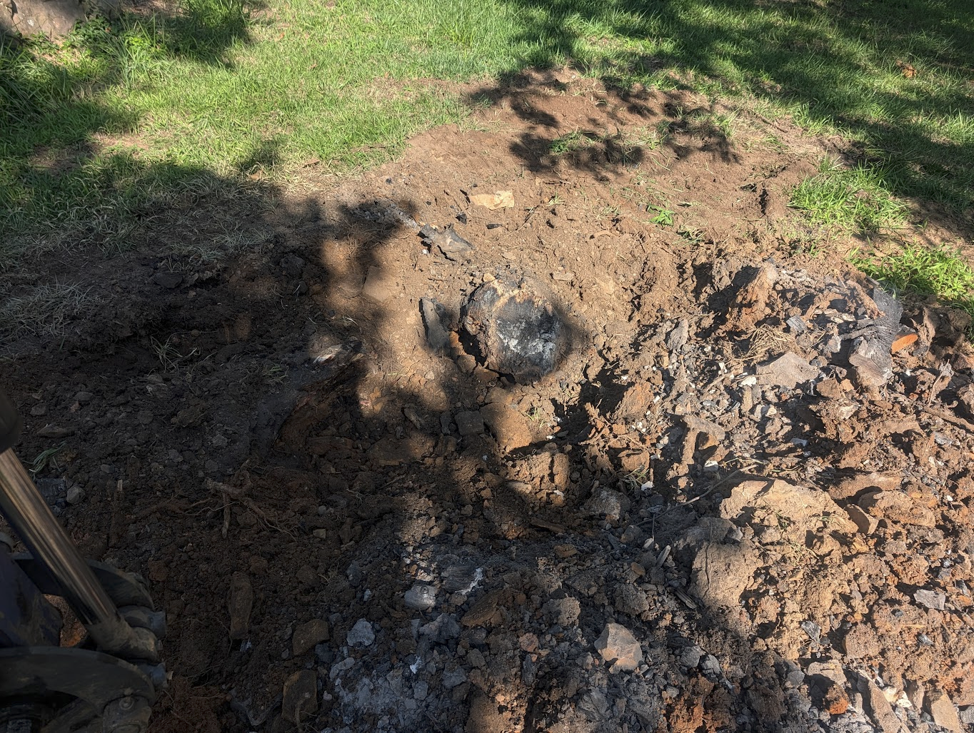 Charred but largely intact stump the following morning